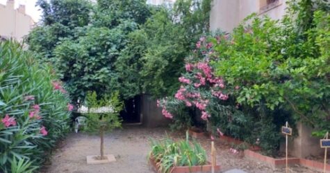Fête des voisins du temple